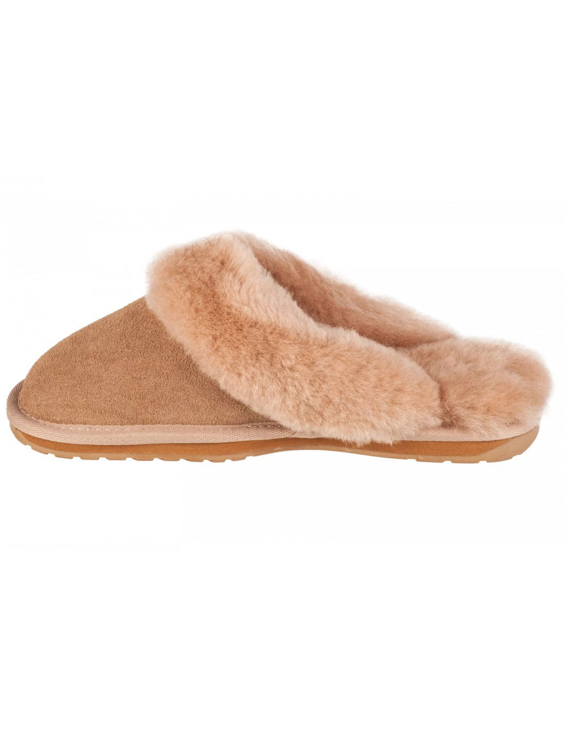 731681-thickbox_default-346df67e-3dae-ef11-9738-00155d01f100