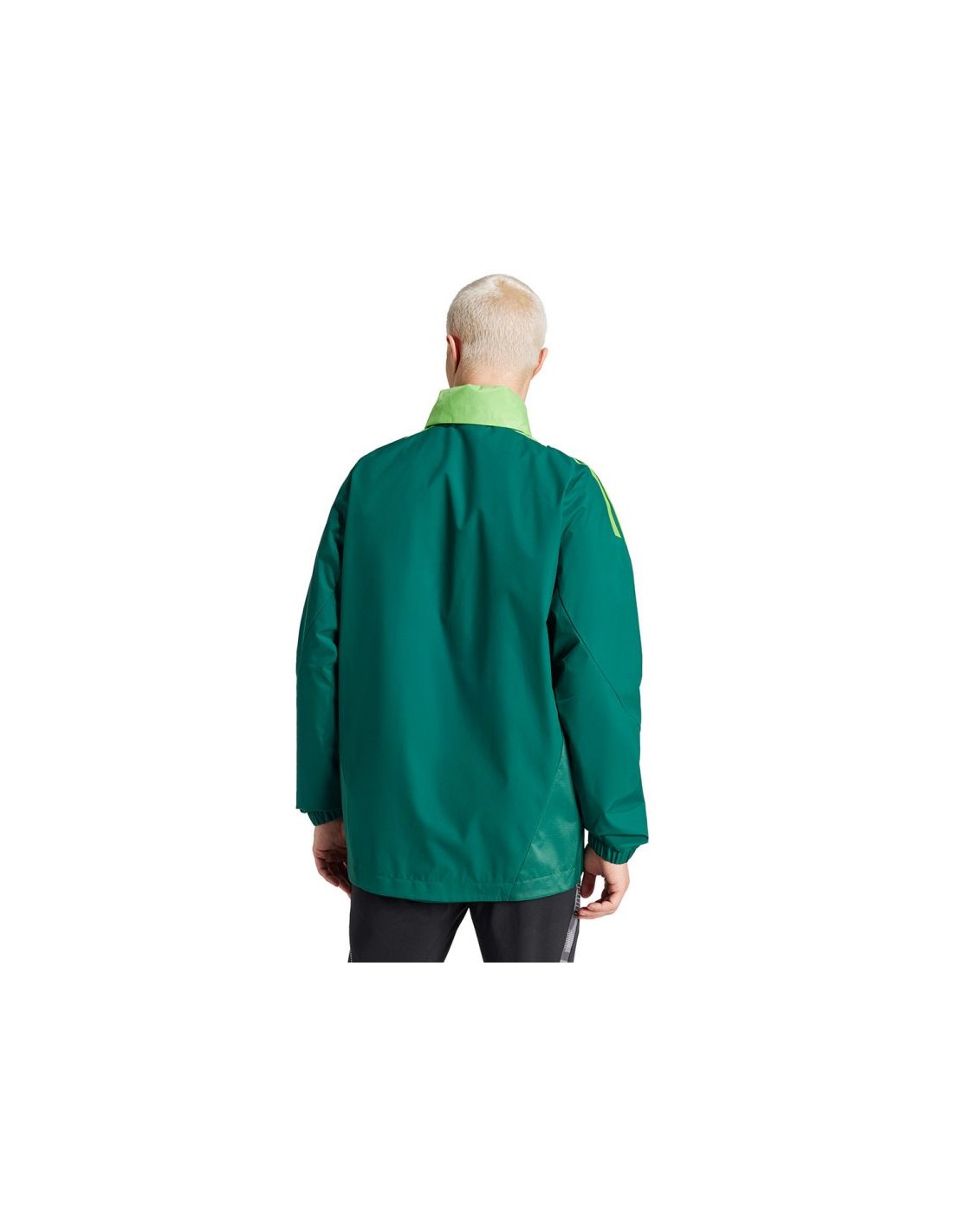 732352-thickbox_default-8c38cc0b-a6ef-ee11-809e-002185fc1153