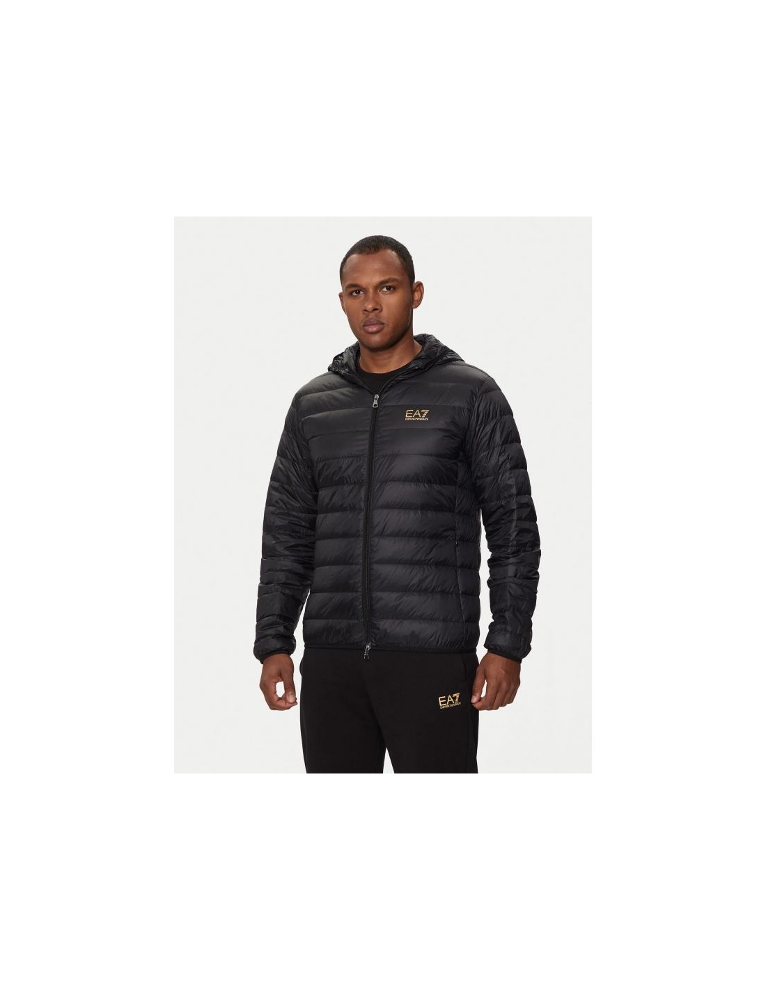 736109-thickbox_default-hooded-down-jacket-ea7-emporio-armani-m-8npb24-pngpz-0208