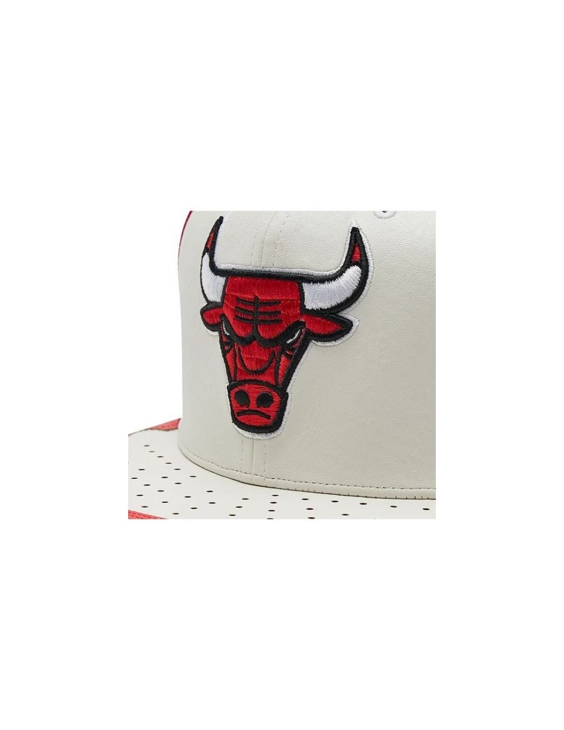 738200-thickbox_default-mitchell-ness-nba-day-one-snapback-bulls-cap-6hssmm19224-cbuwhrd