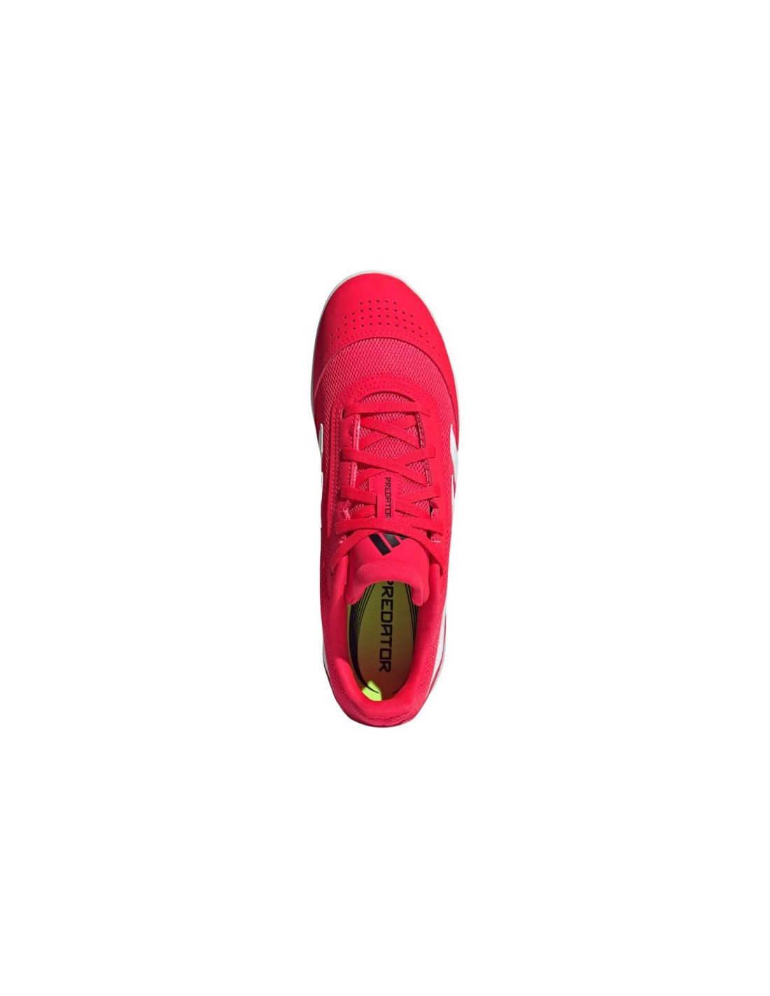 773350-thickbox_default-adidas-predator-club-sala-in-shoes-id3792