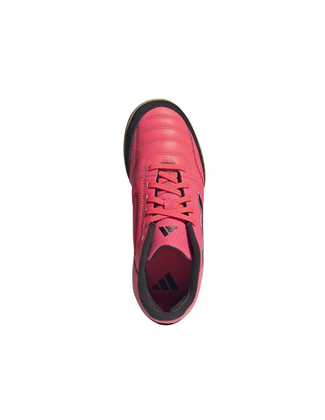 773881-thickbox_default-adidas-top-sala-competition-jr-ig8761-shoes