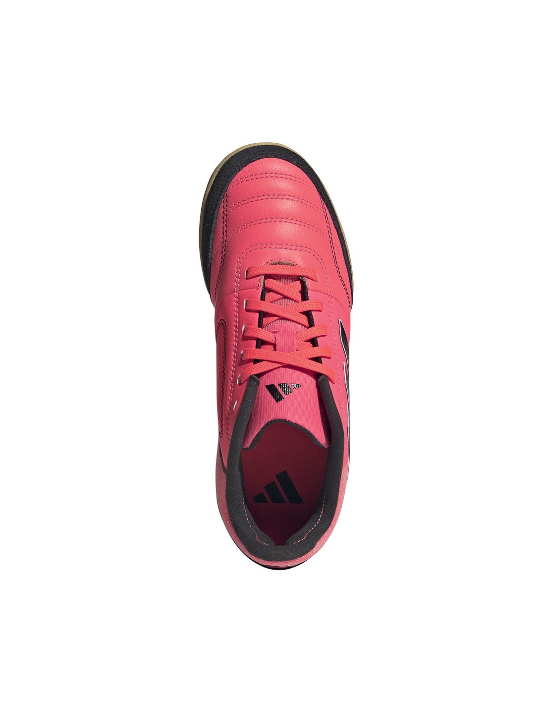 773882-thickbox_default-adidas-top-sala-competition-jr-ig8761-shoes