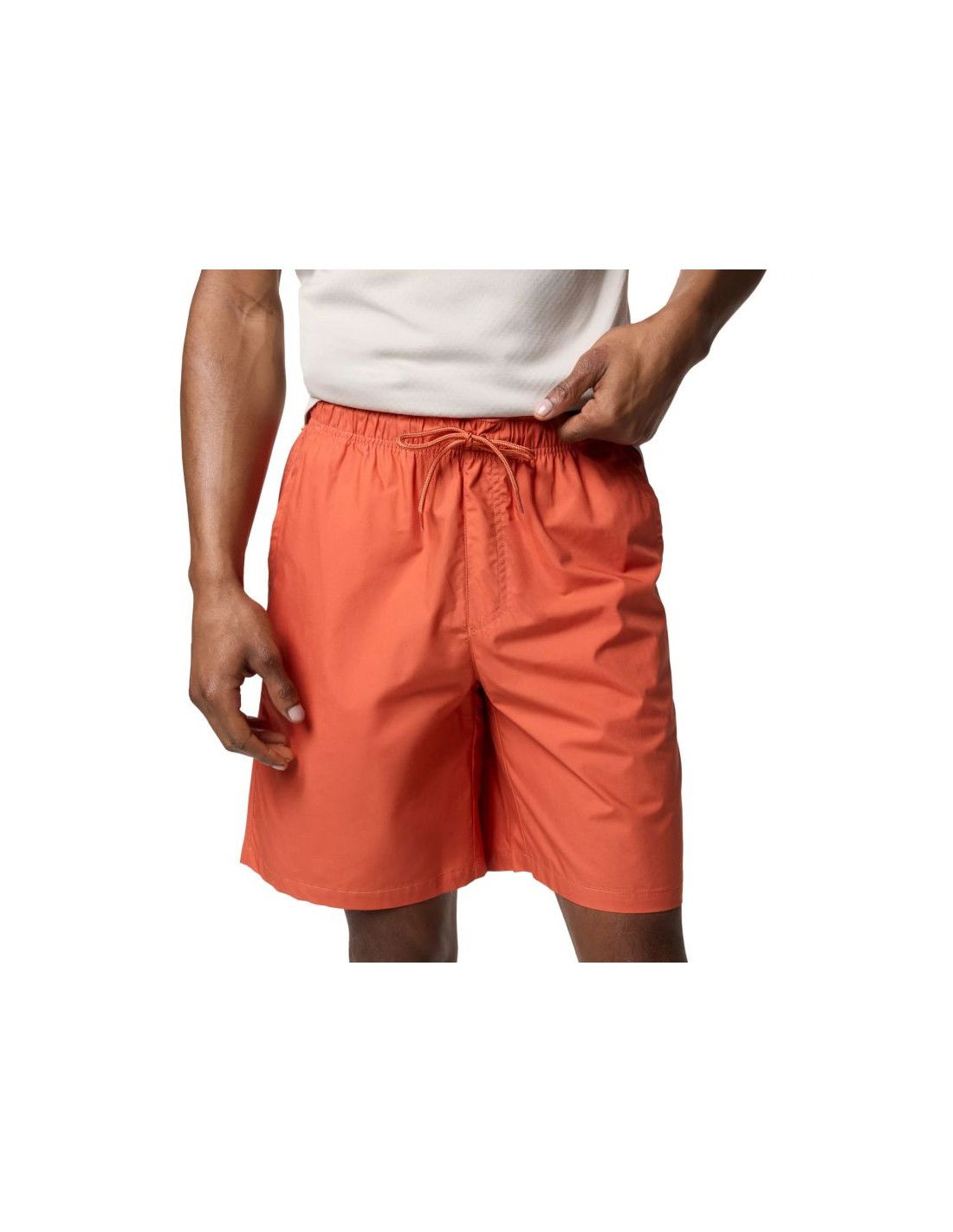 775036-thickbox_default-c826cb57-2eea-ef11-b6a8-a8a15986bd35