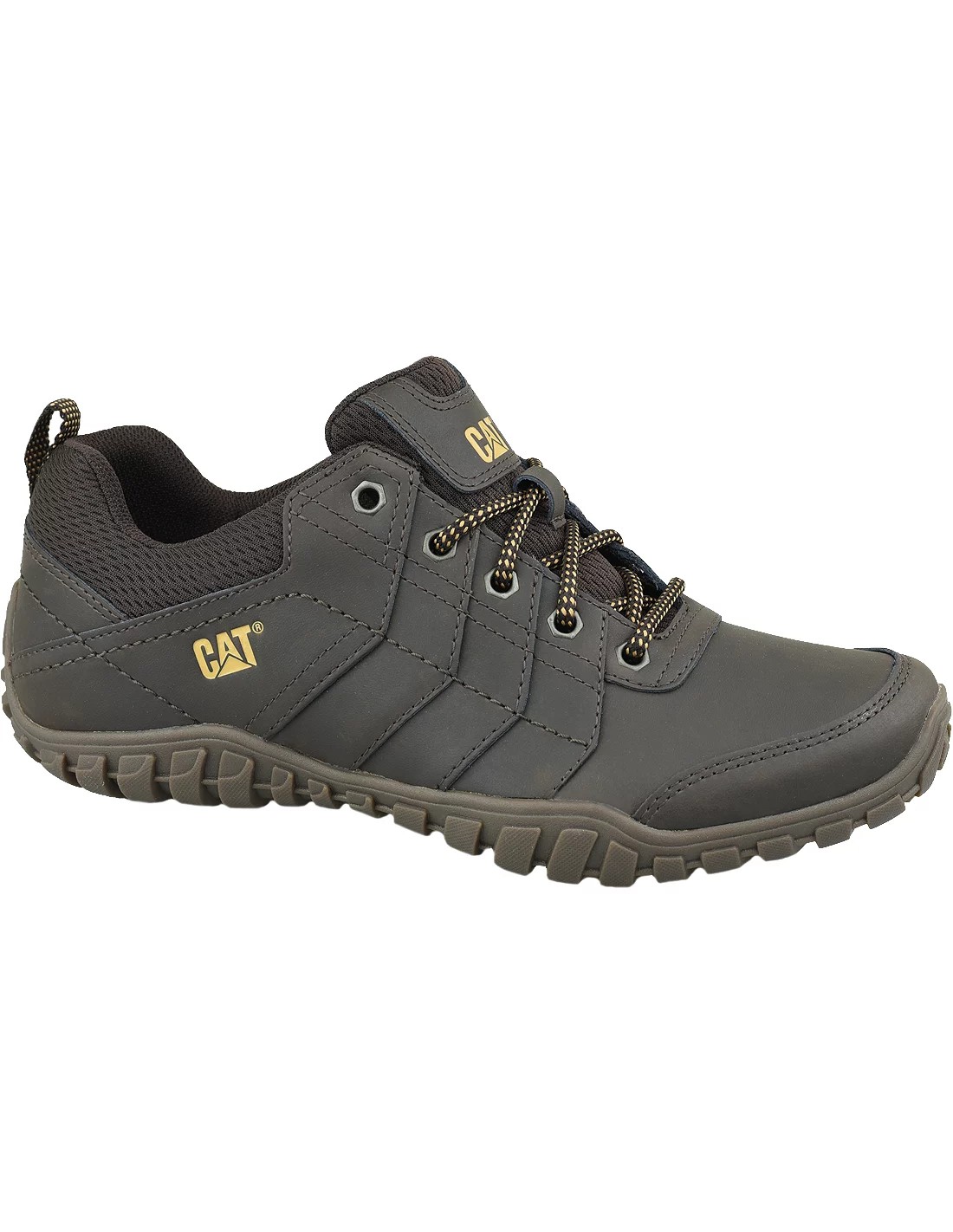 775551-thickbox_default-caterpillar-instruct-p722310