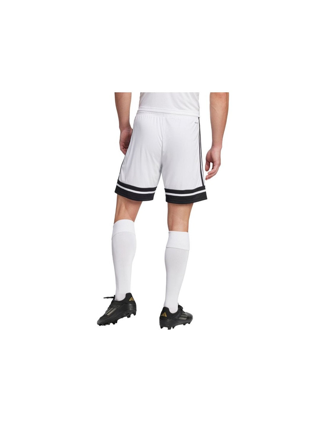 777150-thickbox_default-shorts-adidas-squadra-25-jh3412