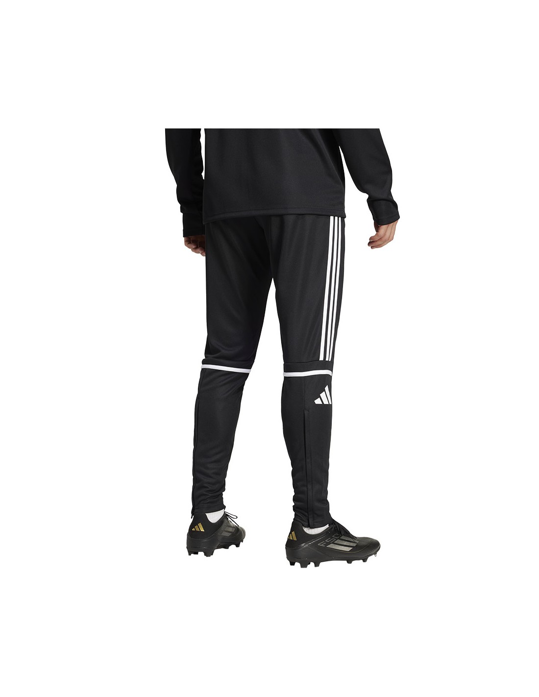 777294-thickbox_default-adidas-squadra-25-training-pants-je2782
