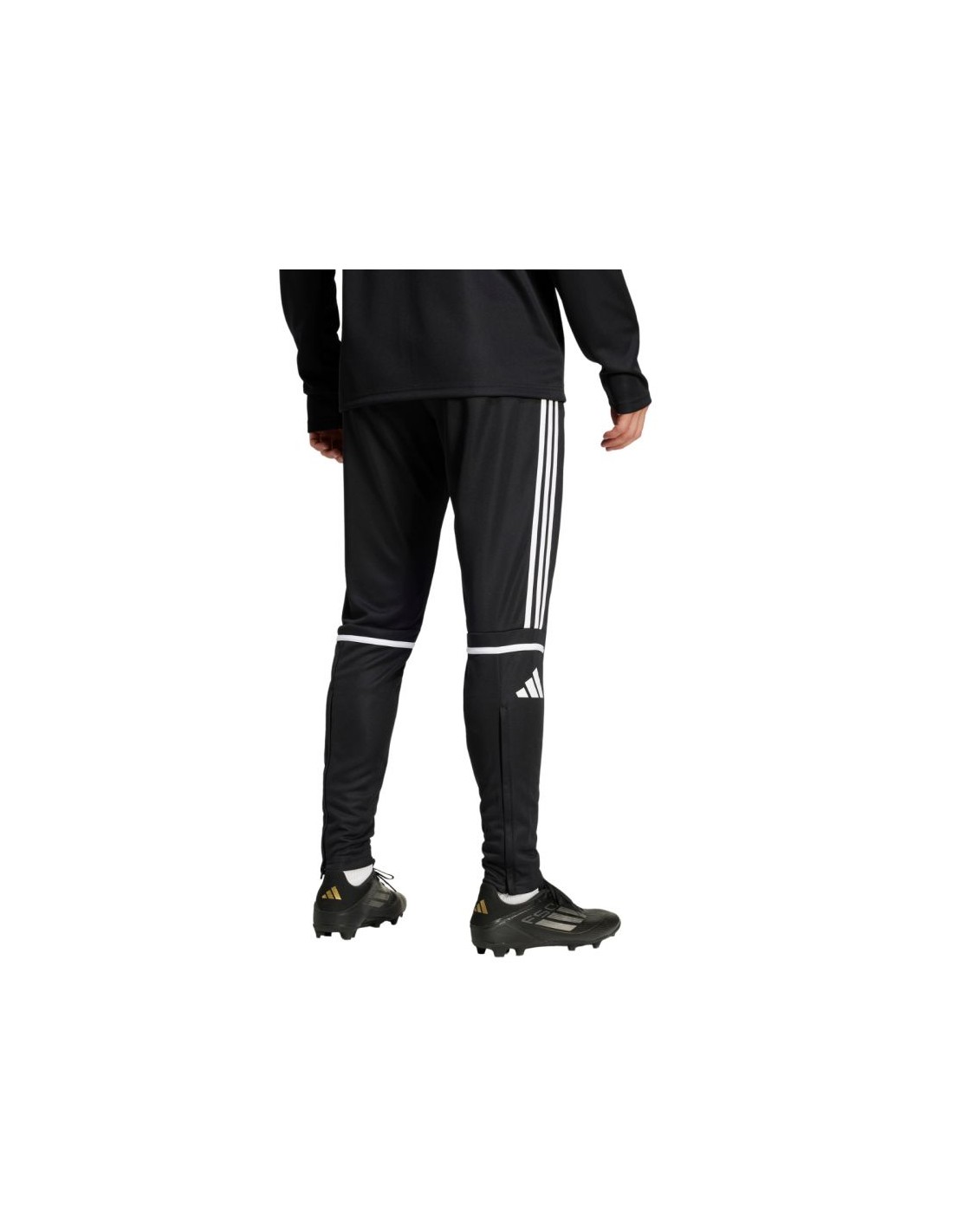 777295-thickbox_default-adidas-squadra-25-training-pants-je2782