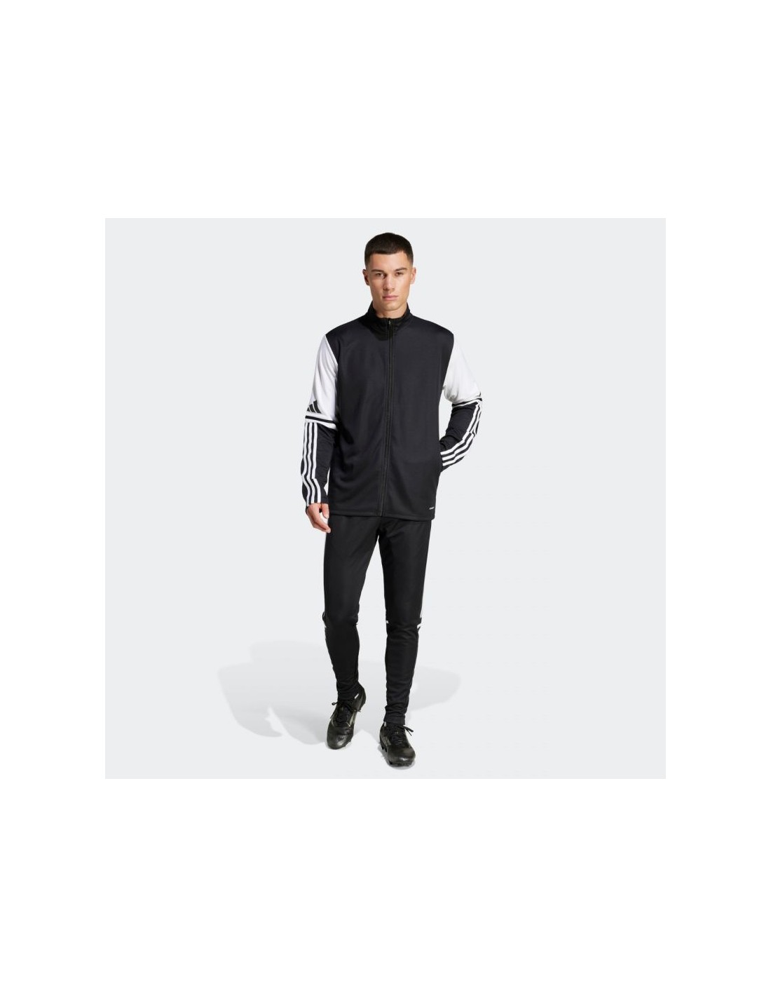777301-thickbox_default-adidas-squadra-25-training-pants-je2782