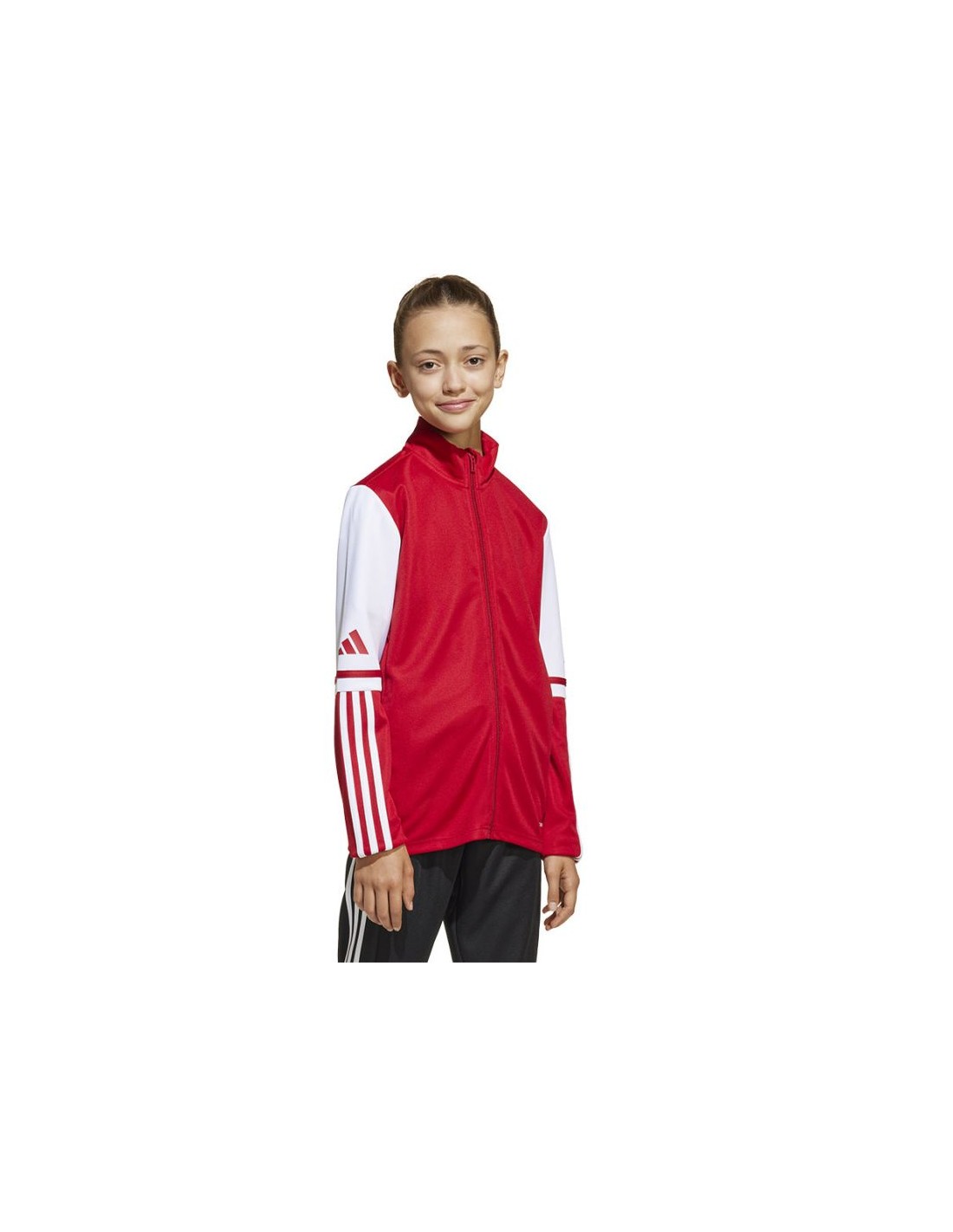 777379-thickbox_default-ea72ec6b-c9f2-ef11-b6a8-a8a15986bd35