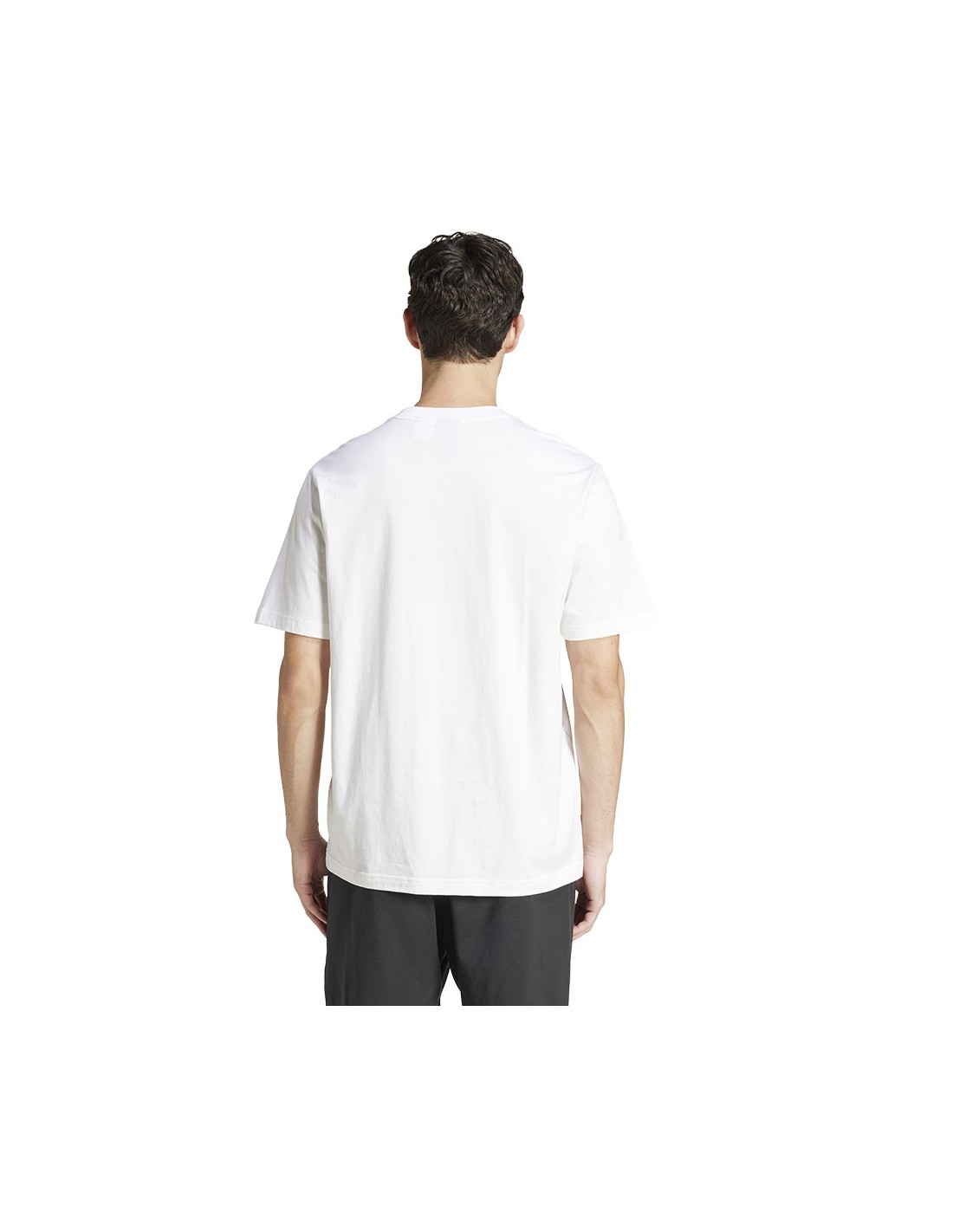 777452-thickbox_default-adidas-single-jersey-linear-tee-je9000