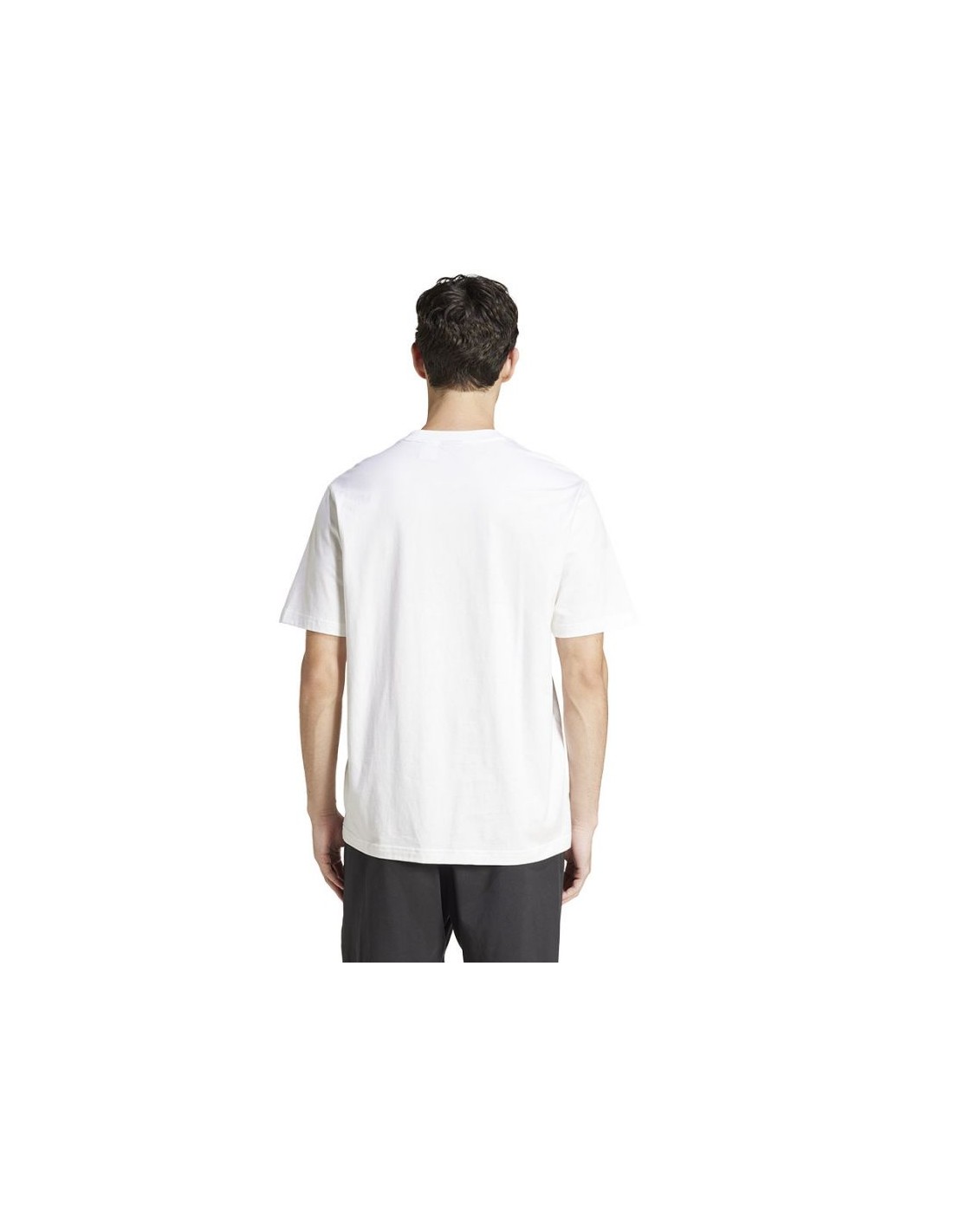 777453-thickbox_default-adidas-single-jersey-linear-tee-je9000