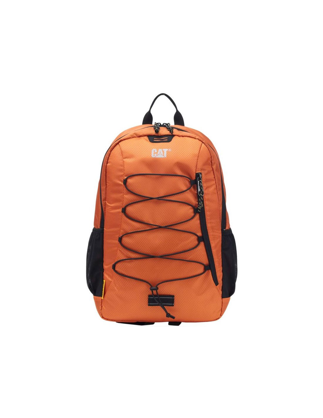 779105-thickbox_default-8c8539ad-b1fa-ef11-973c-00155d01f100