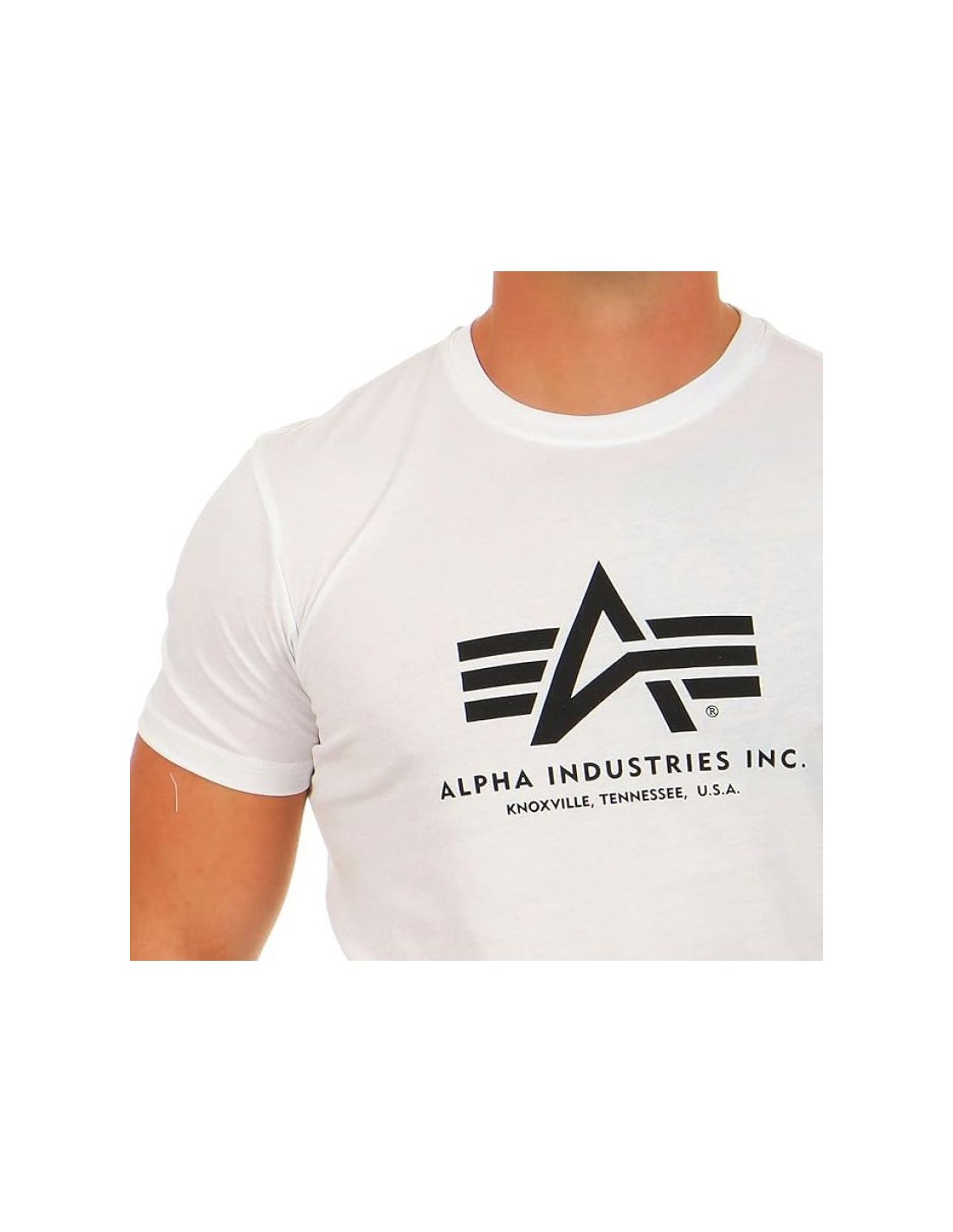 782474-thickbox_default-alpha-industries-basic-t-shirt-m-100501-09