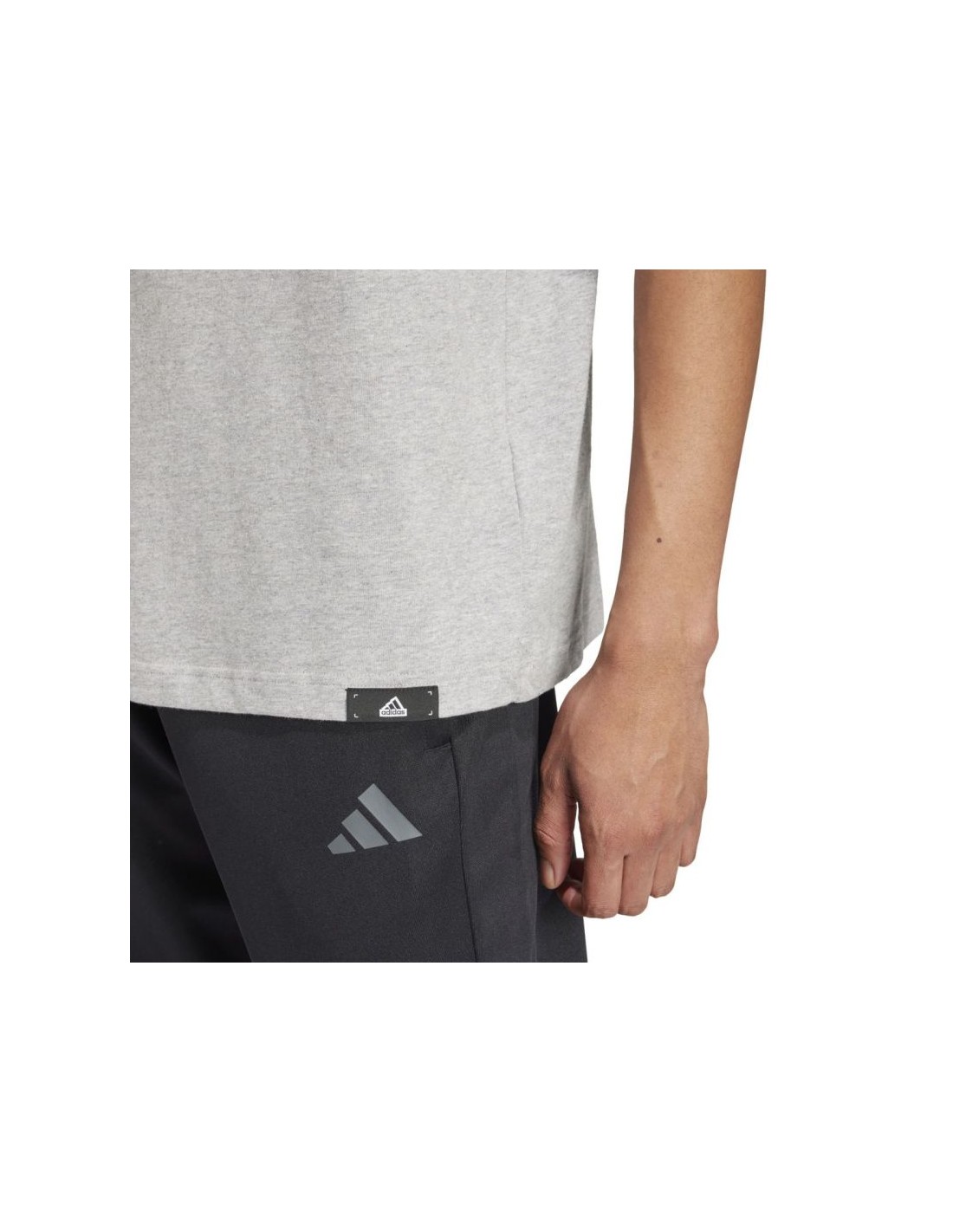 782564-thickbox_default-adidas-modern-essentials-graphic-m-t-shirt-iw2648