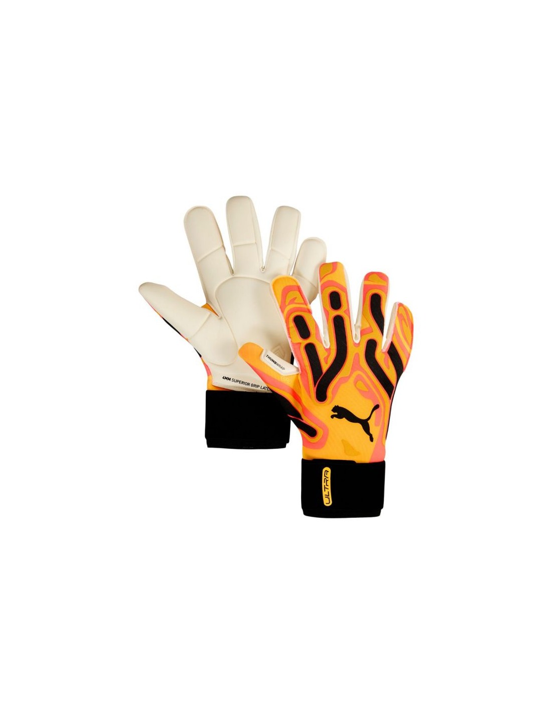 783788-thickbox_default-7446bb79-ecdb-ef11-973a-00155d01f100