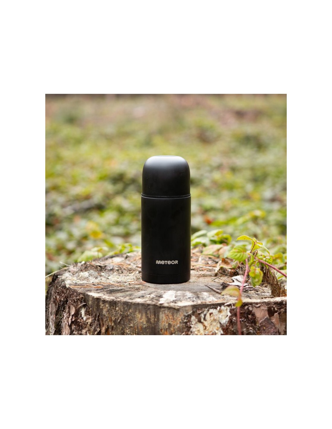 784967-thickbox_default-thermos-meteor-750-ml-17246