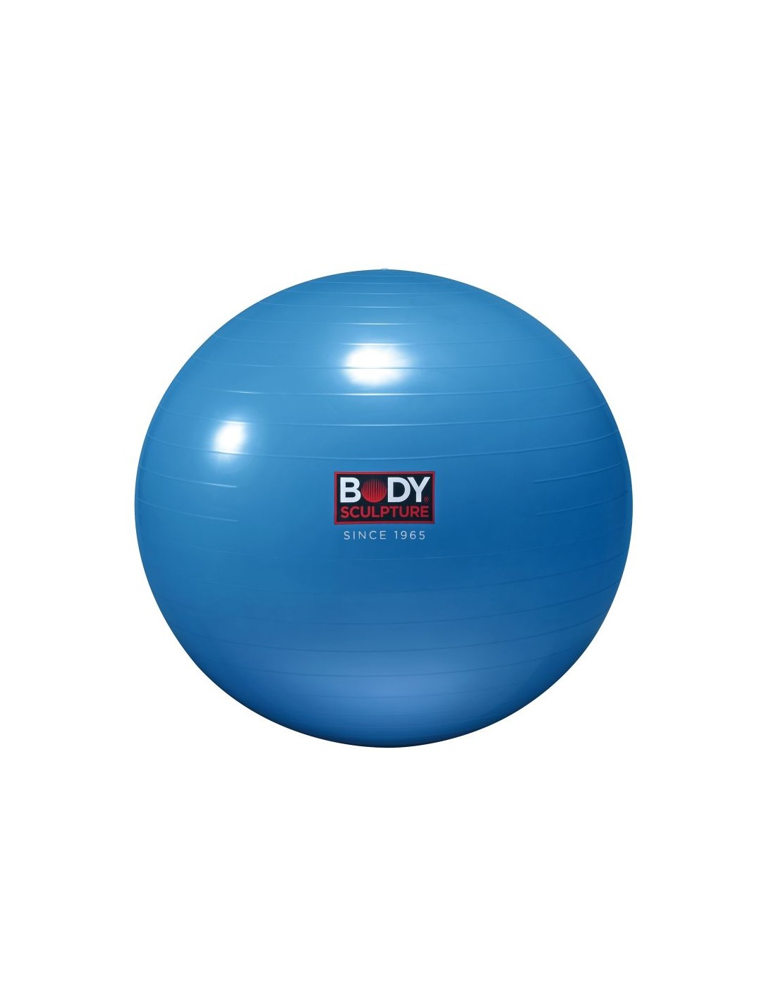 785643-thickbox_default-anti-burst-bb-001-gymnastic-ball-65-cm