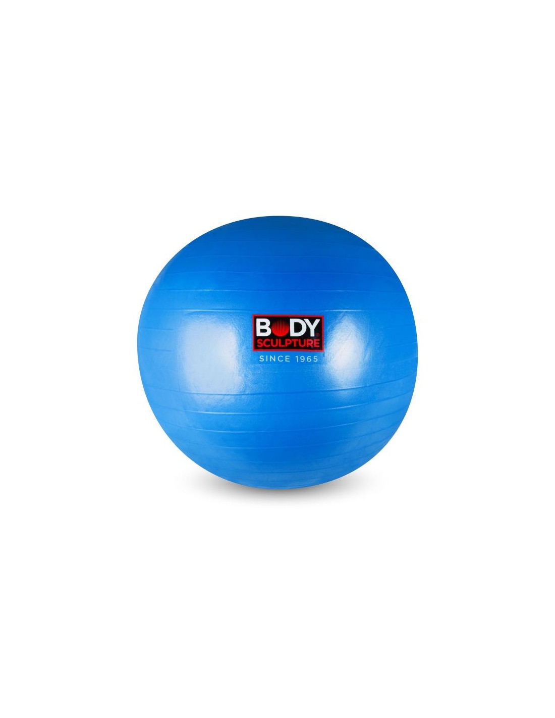 785646-thickbox_default-anti-burst-bb-001-gymnastic-ball-65-cm