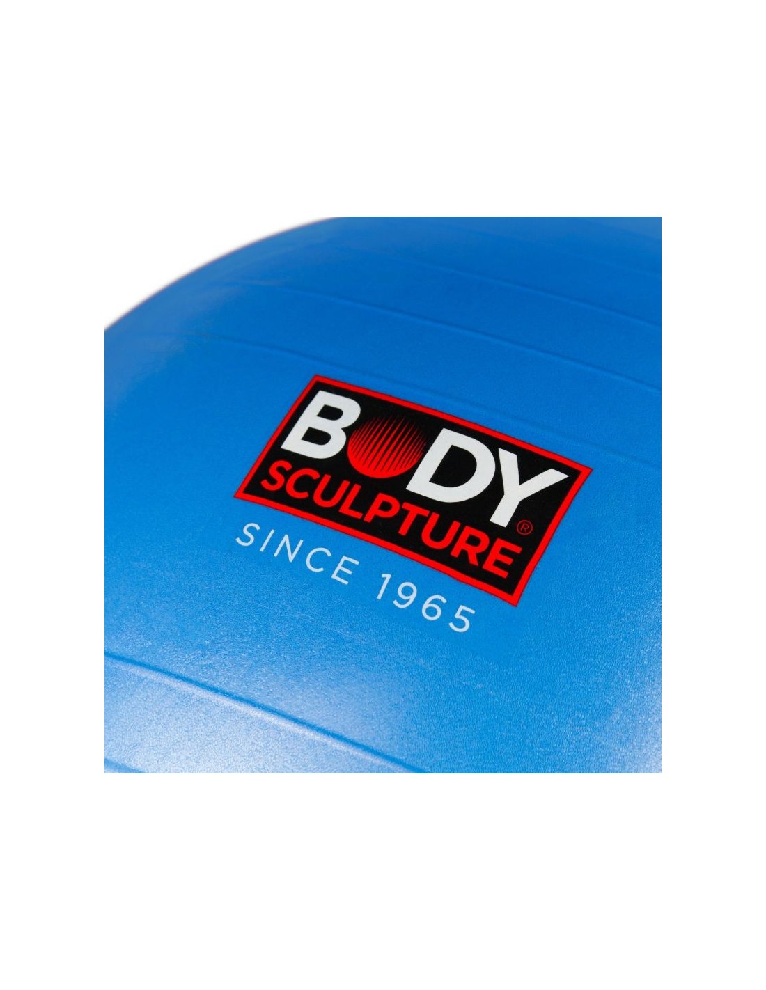 785648-thickbox_default-anti-burst-bb-001-gymnastic-ball-65-cm
