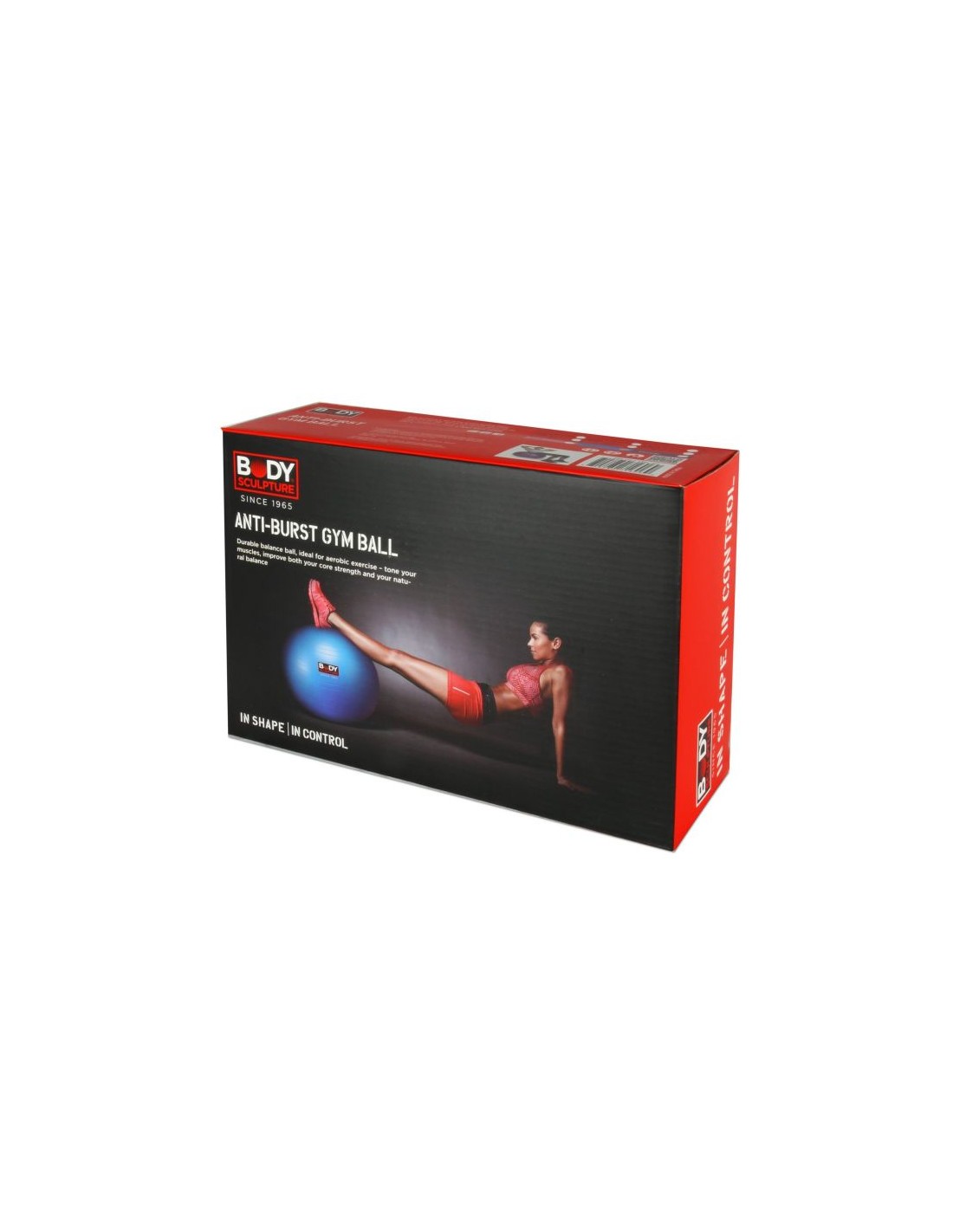785653-thickbox_default-anti-burst-bb-001-gymnastic-ball-65-cm