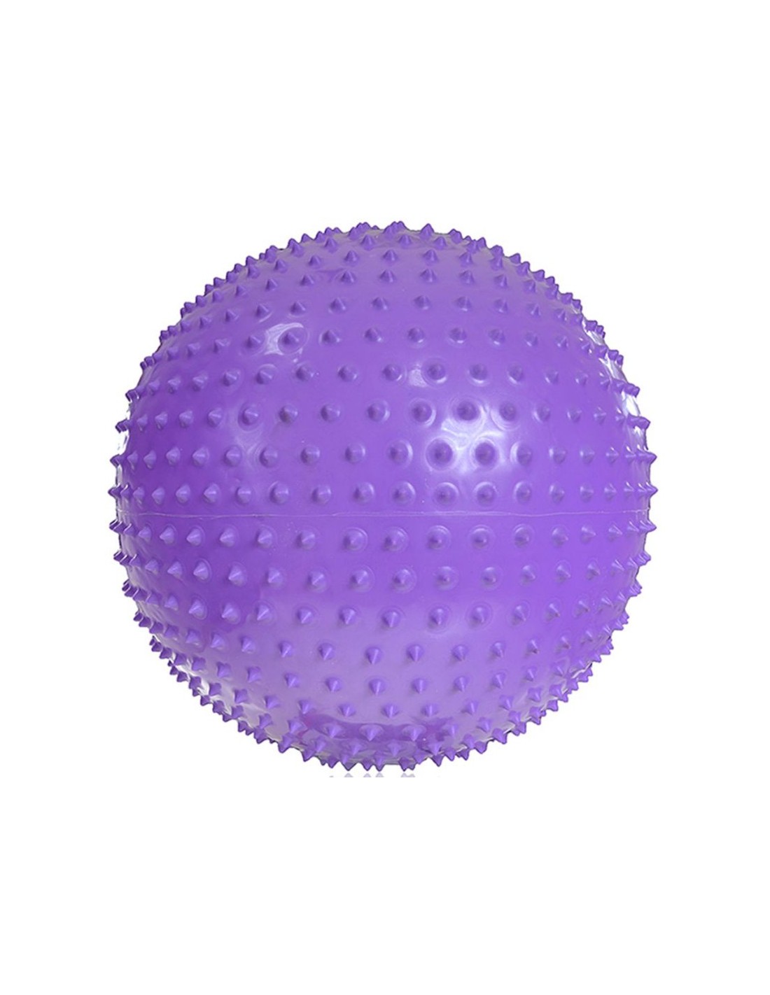 785790-thickbox_default-gym-ball-with-massage-profit-55cm-purple-dk-2104