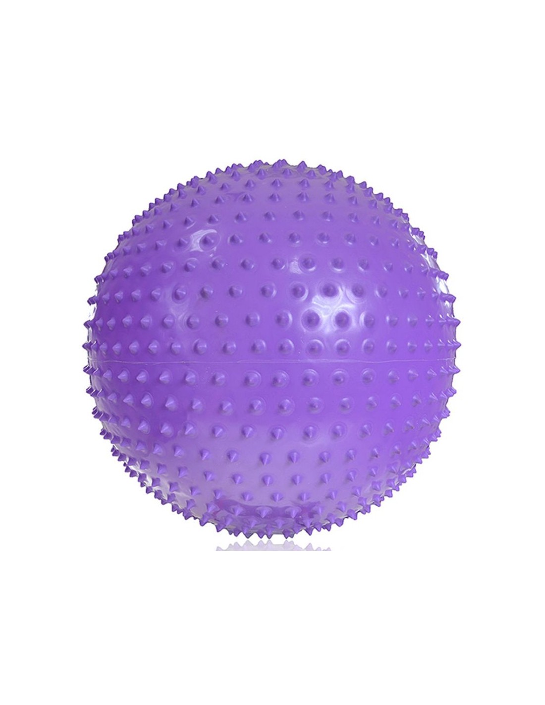 785792-thickbox_default-gym-ball-with-massage-profit-55cm-purple-dk-2104