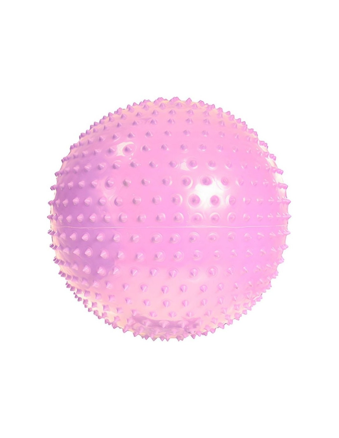 785795-thickbox_default-gym-ball-with-massage-profit-55cm-purple-dk-2104
