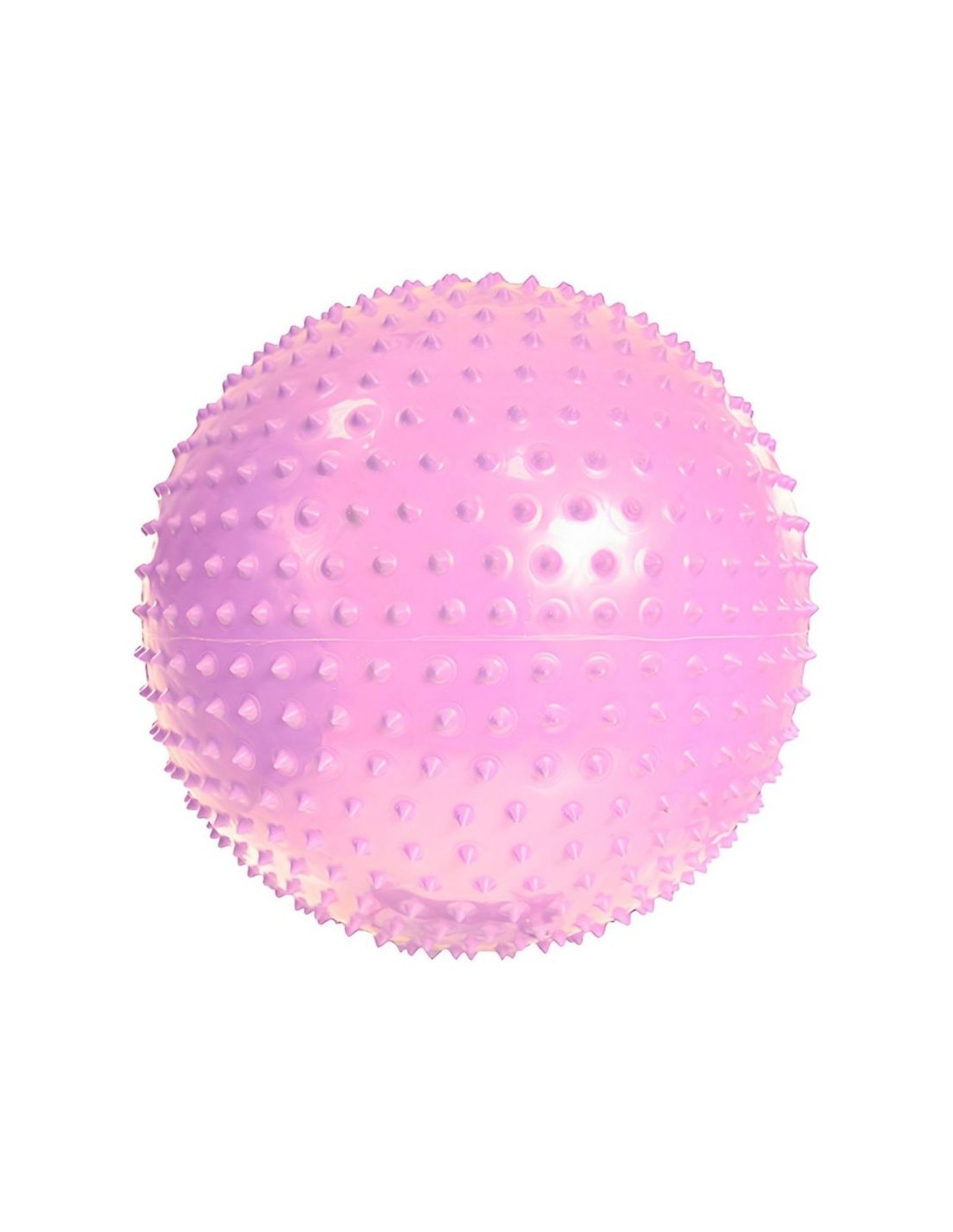 785801-thickbox_default-gym-ball-with-massage-profit-55cm-purple-dk-2104