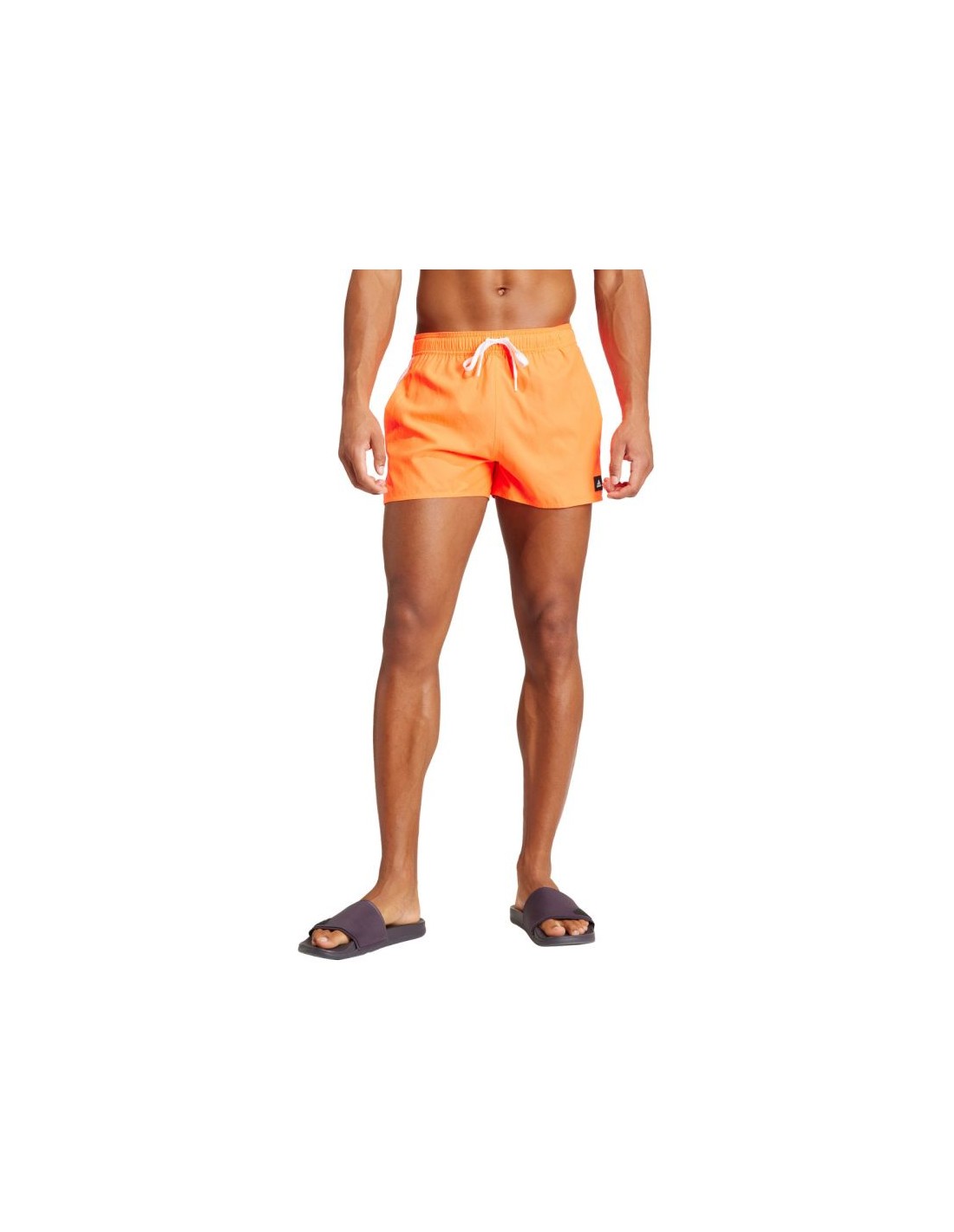 786430-thickbox_default-35bbdaab-e966-ef11-9735-00155d01f100