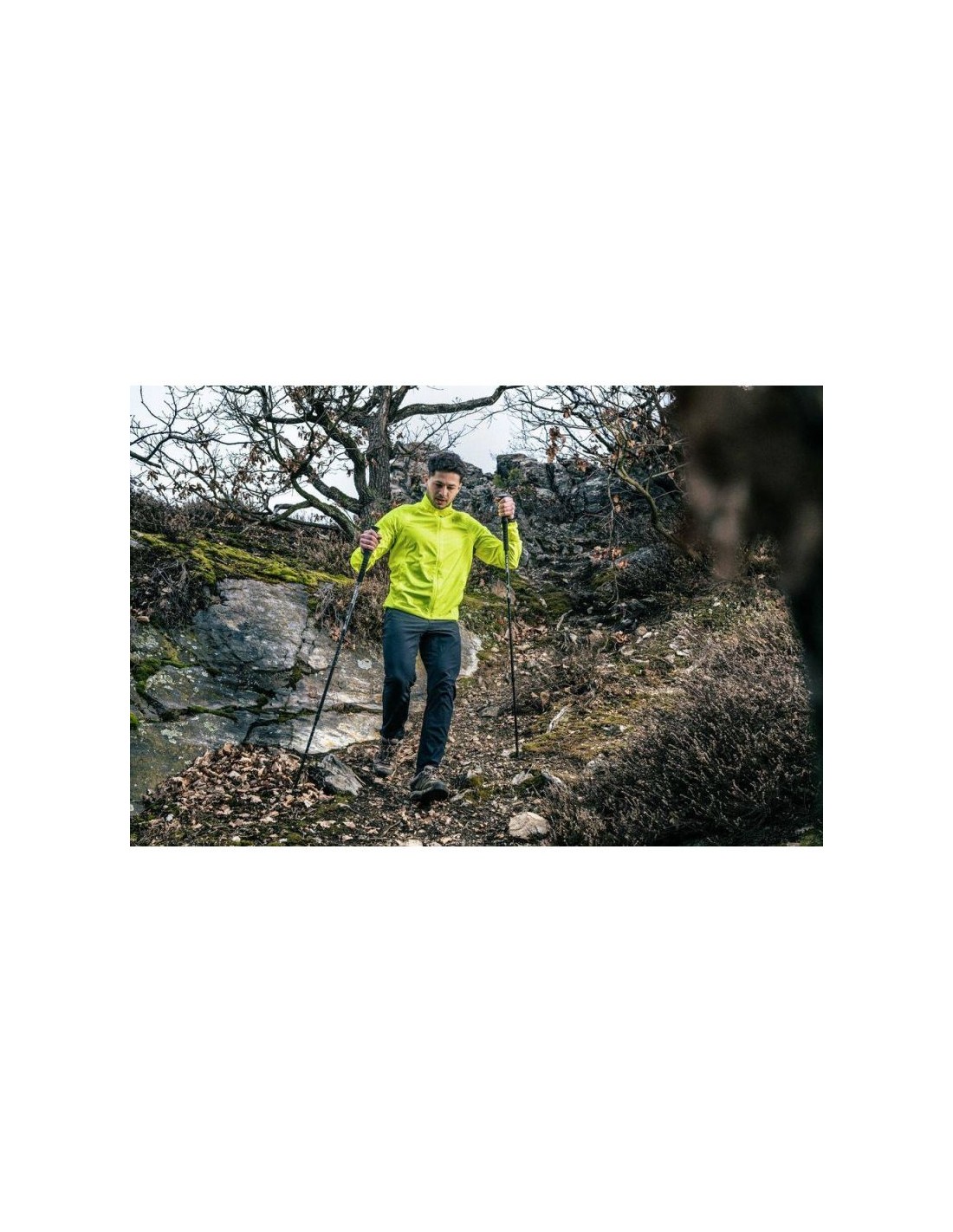 793046-thickbox_default-silvini-men-jacket-vetta-m-3120-mj1612-7111-m-cycling-jacket