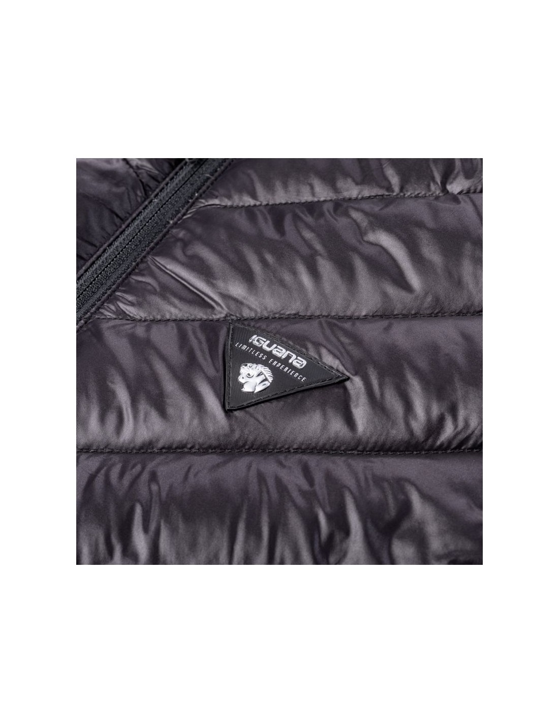 793300-thickbox_default-jacket-iguana-larcia-w-92800439376
