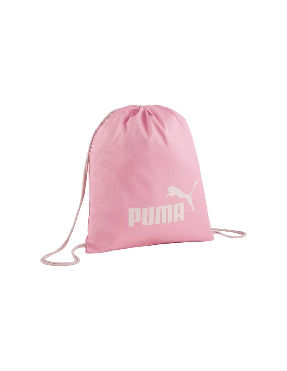 796497-thickbox_default-puma-phase-small-gym-sack-90190-05-shoe-bag