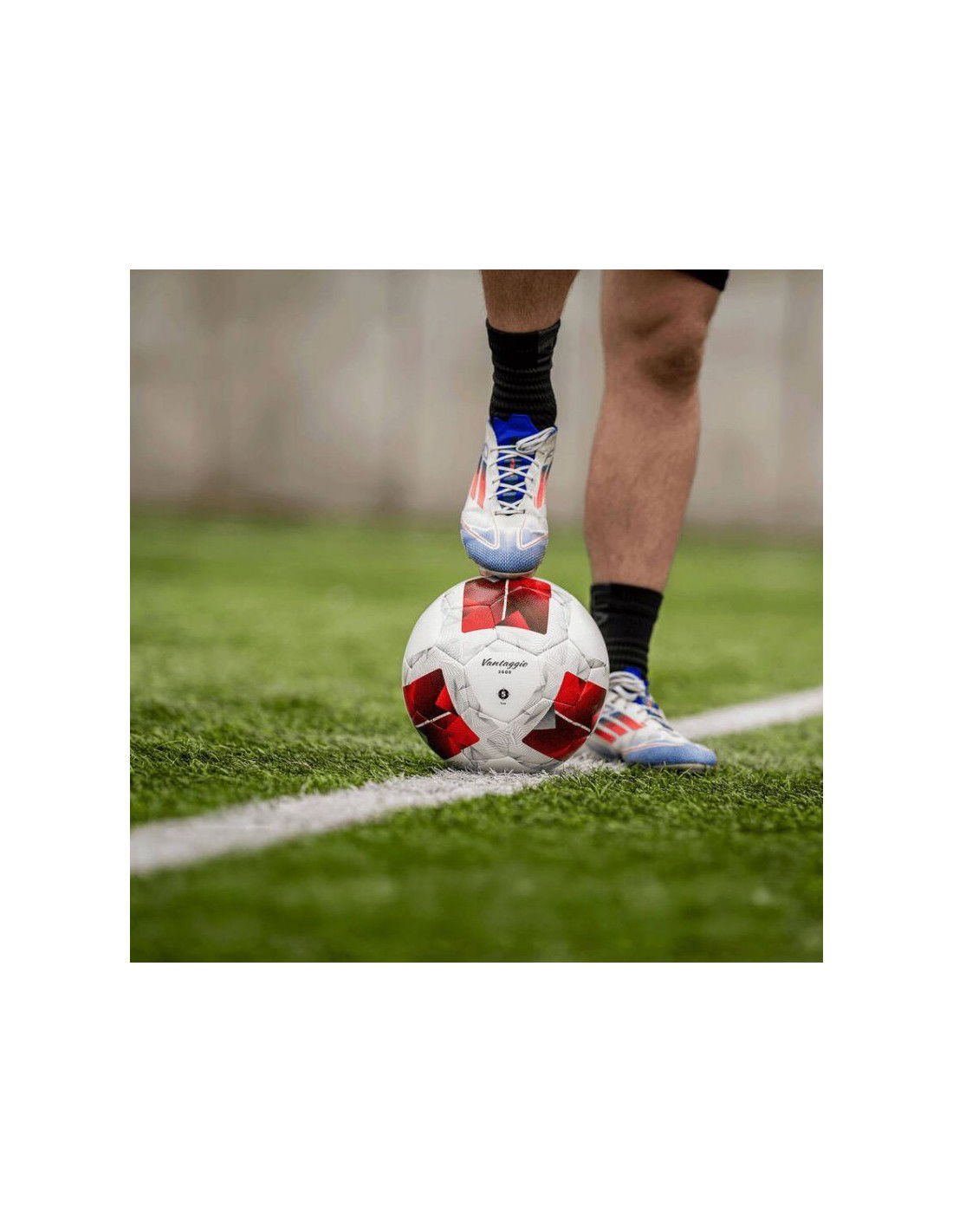 796998-thickbox_default-bd887d8a-d0b1-ef11-b6a2-a8a15986bd35