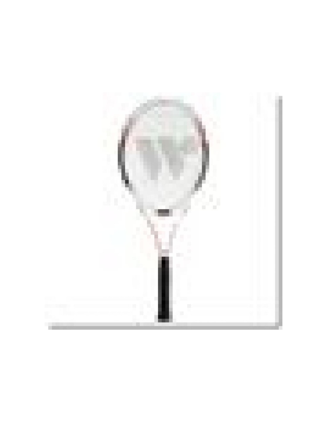797937-thickbox_default-wish-ws4001-badminton-net