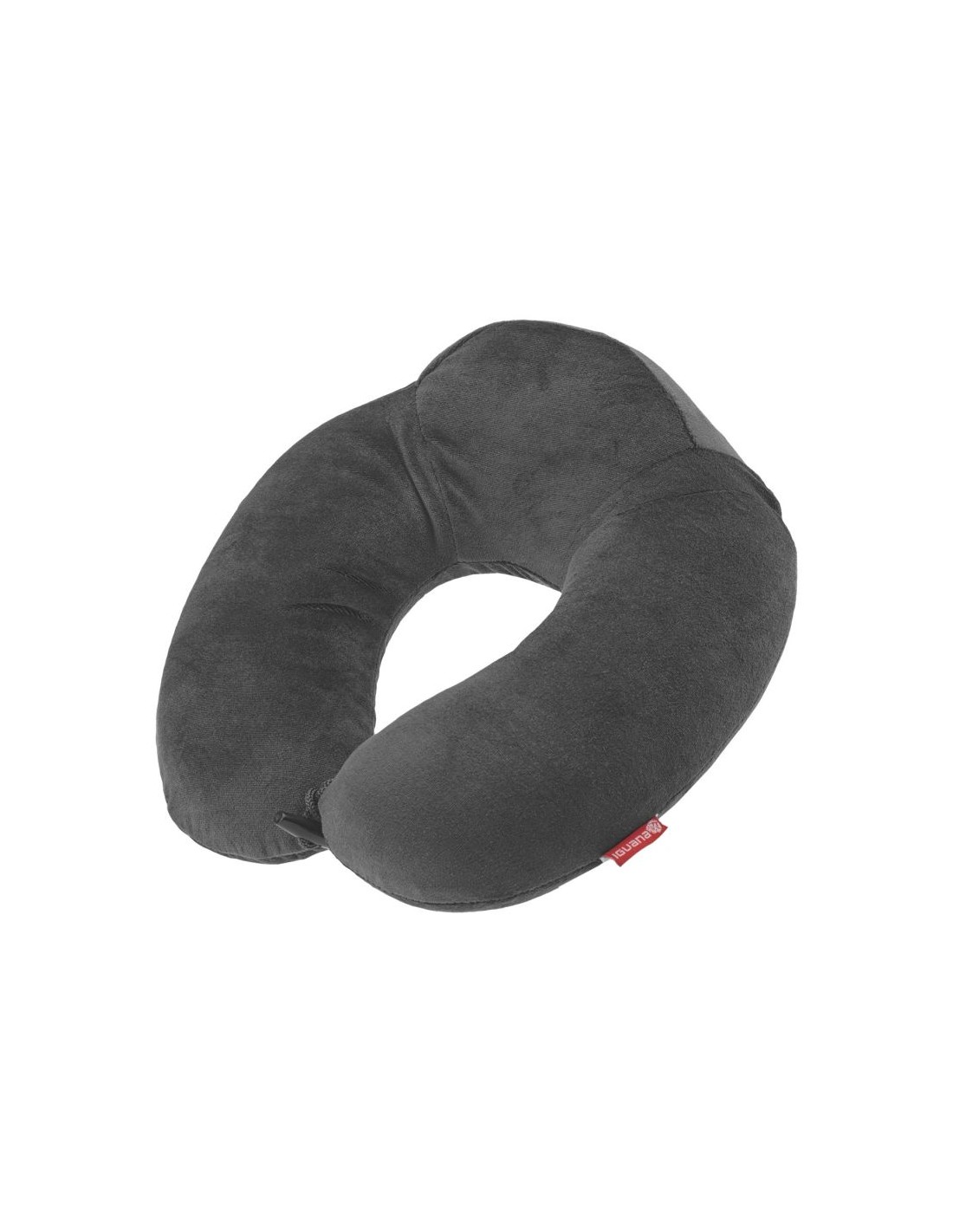 798398-thickbox_default-iguana-nerri-pillow-92800397926