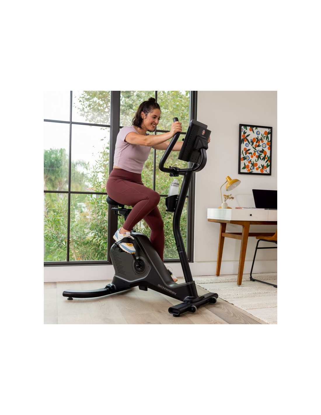 798879-thickbox_default-programmed-bike-schwinn-590u-100952
