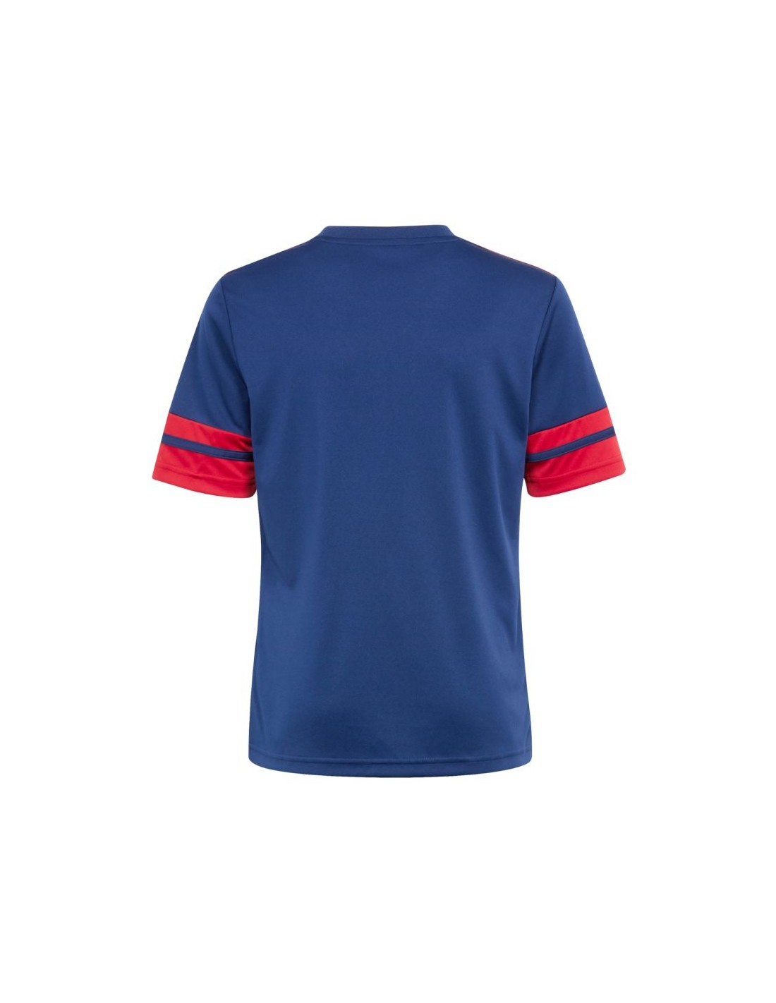 801294-thickbox_default-adidas-squadra-25-jr-t-shirt-jj2415