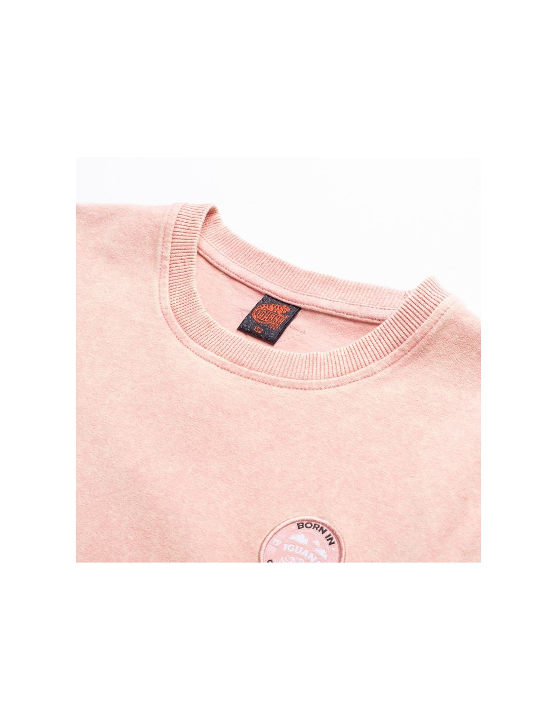 801380-thickbox_default-t-shirt-iguana-kiori-tg-jr-92800621008