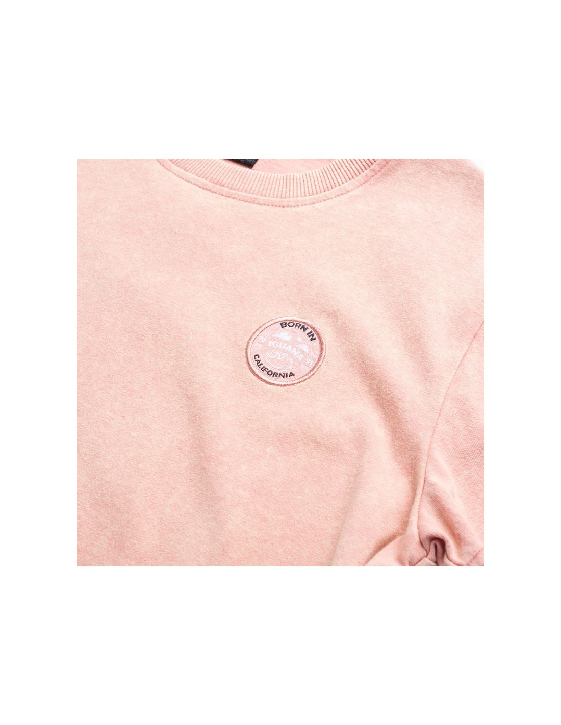 801383-thickbox_default-t-shirt-iguana-kiori-tg-jr-92800621008