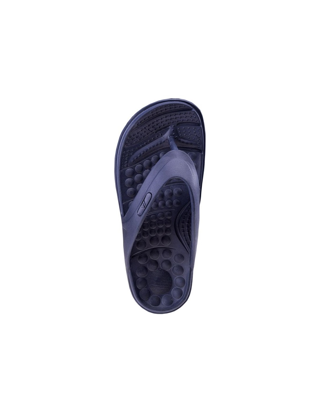 810058-thickbox_default-1aaab4a5-dc13-f011-b6a9-a8a15986bd35