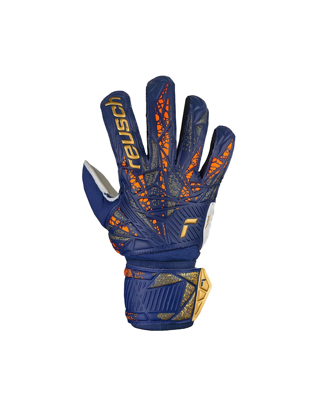 810852-thickbox_default-3d17bb5b-d313-f011-973e-00155d01f100