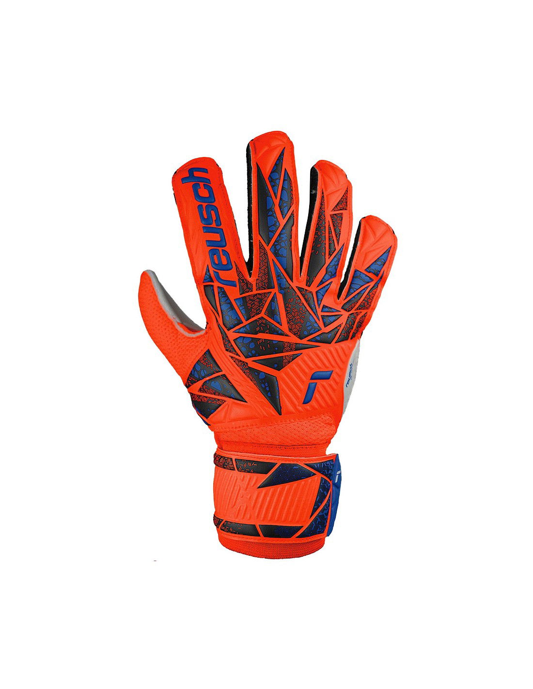 810855-thickbox_default-0b17bb5b-d313-f011-973e-00155d01f100