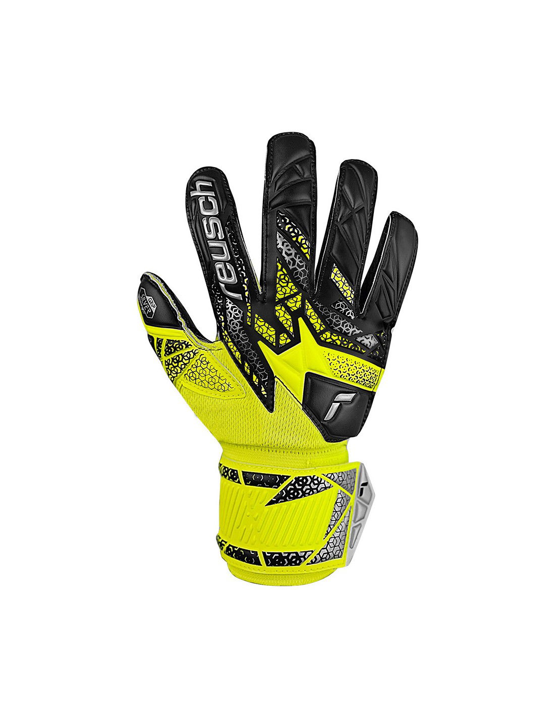 810923-thickbox_default-160cab6d-d313-f011-973e-00155d01f100