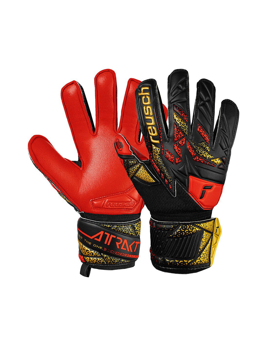 810938-thickbox_default-400cab6d-d313-f011-973e-00155d01f100