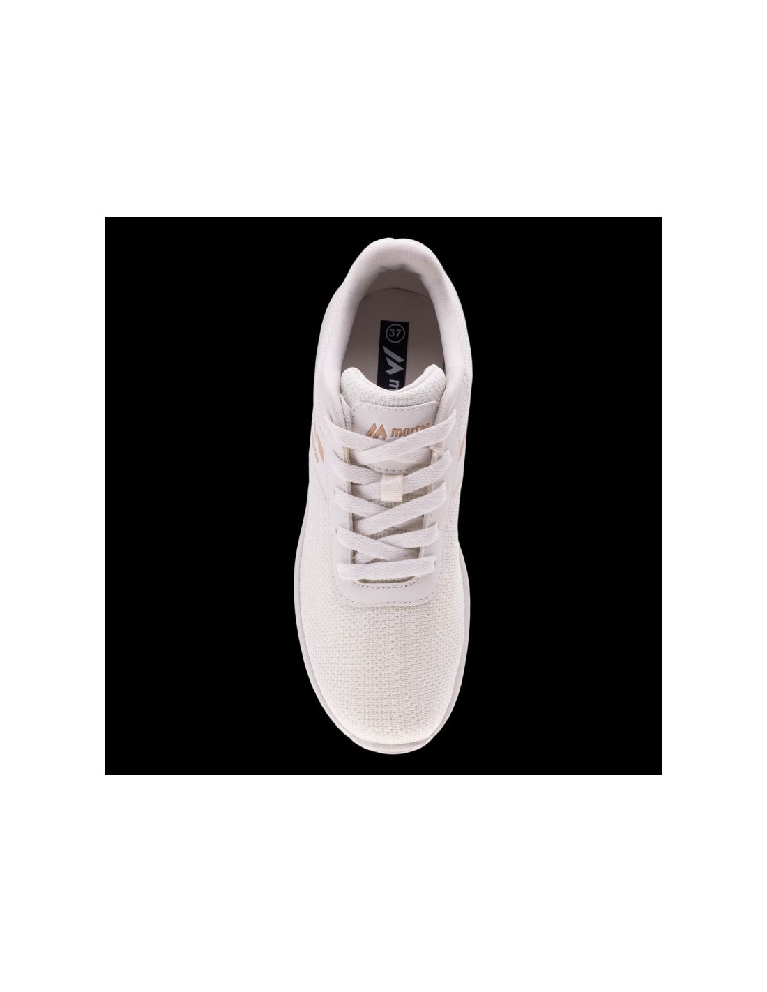 814855-thickbox_default-875f5e99-dc13-f011-b6a9-a8a15986bd35