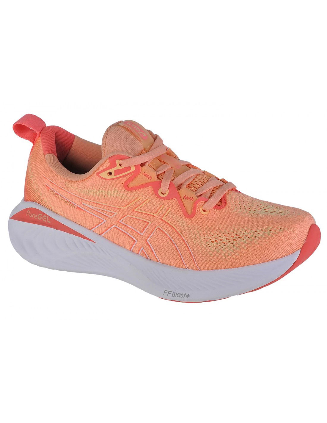 819221-thickbox_default-2bf030fa-252c-f011-b6ac-a8a15986bd35