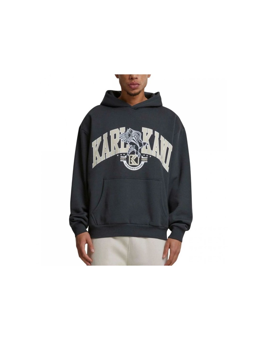 822614-thickbox_default-karl-kani-og-eagle-print-os-hoodie-m-60210115