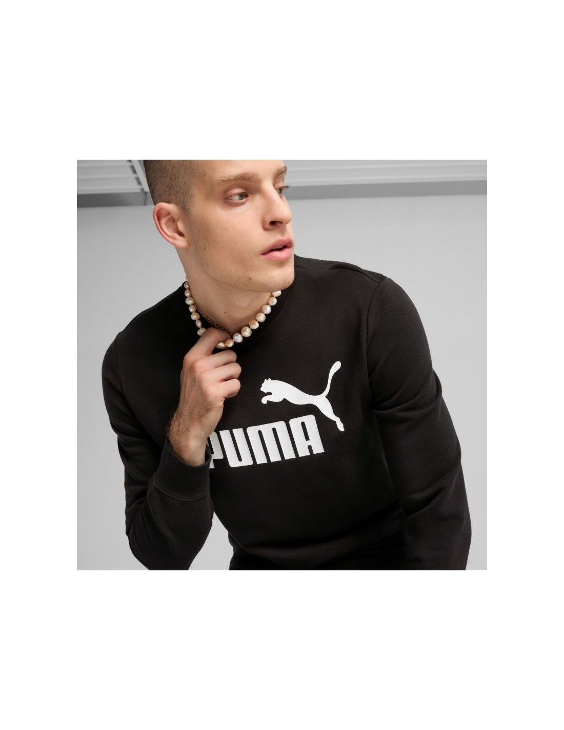 825704-thickbox_default-puma-ess-no1-logo-crew-tr-m-sweatshirt-682560-01