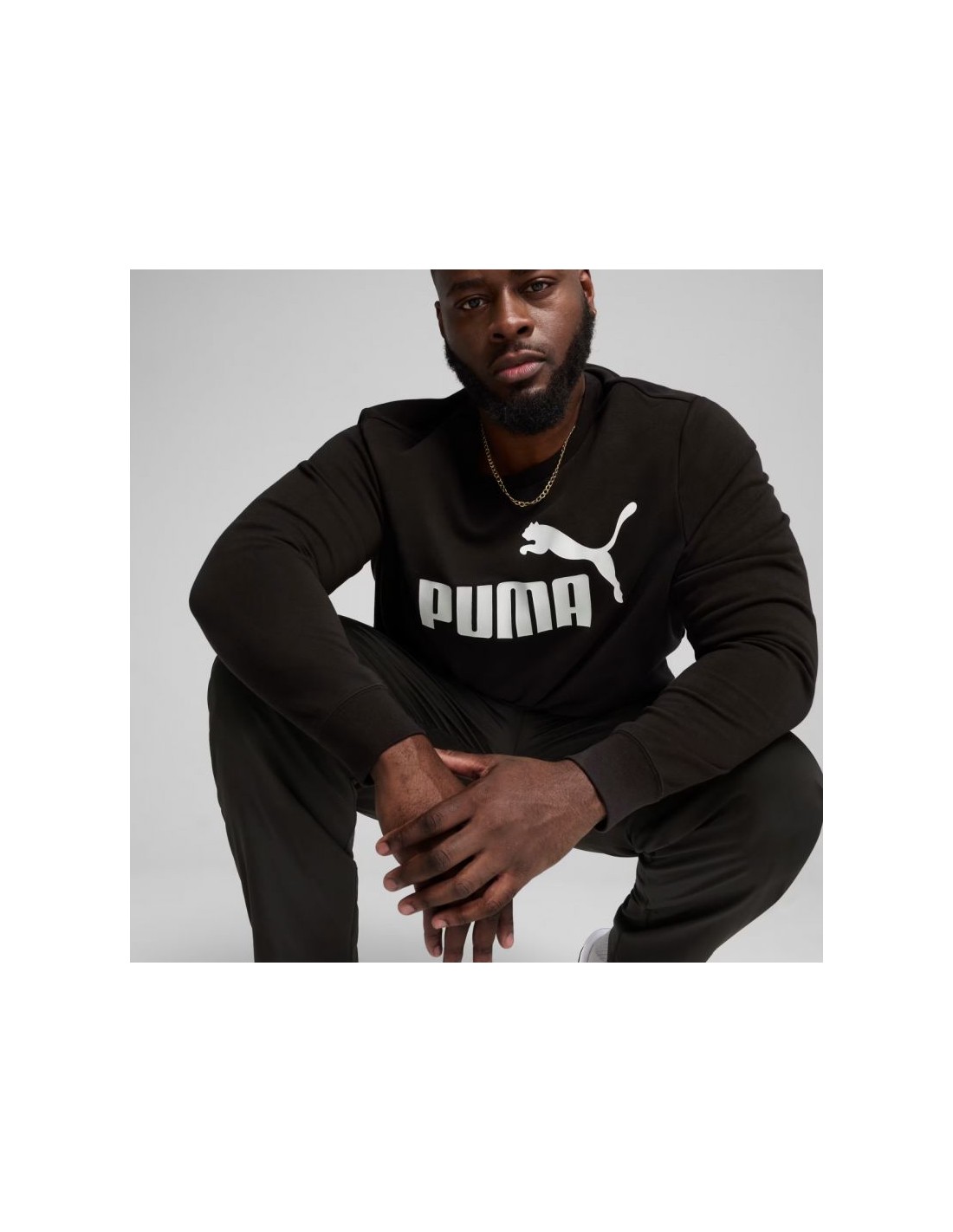 825705-thickbox_default-puma-ess-no1-logo-crew-tr-m-sweatshirt-682560-01